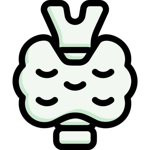 Alt Image