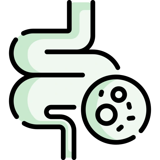 Alt Image