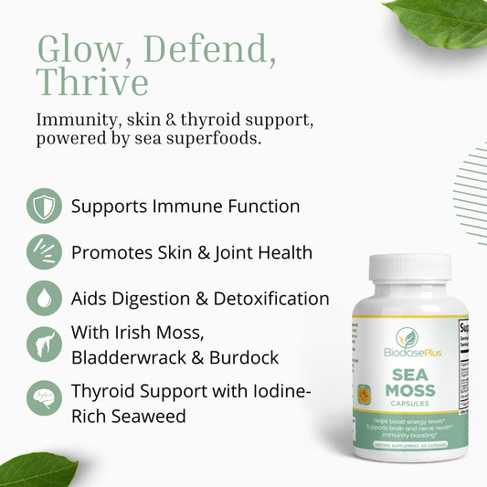 Sea Moss